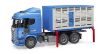 Image de Scania R-Series transport de bétail avec 1 vache 1