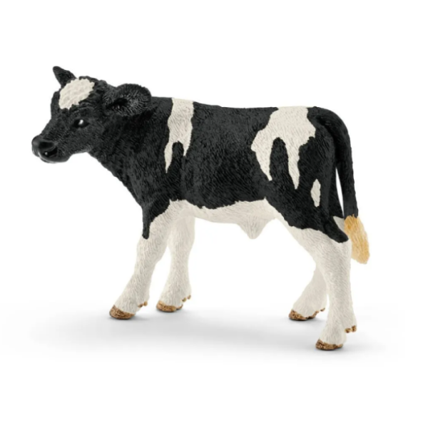 Image de Veau Holstein