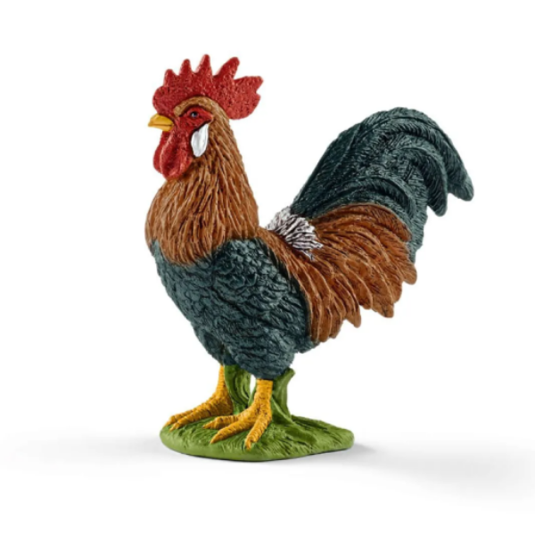 Image de Coq