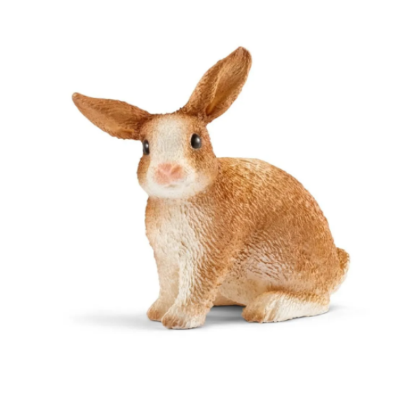 Image de Lapin