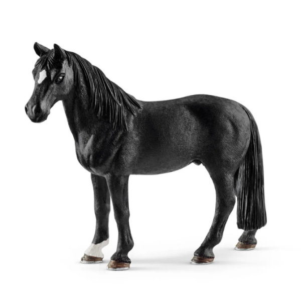 Image de Hongre Tennessee Walker