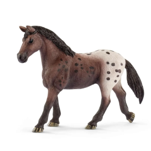 Image de Jument Appaloosa