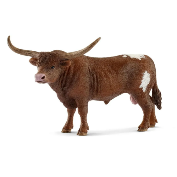 Image de Taureau Texas Longhorn