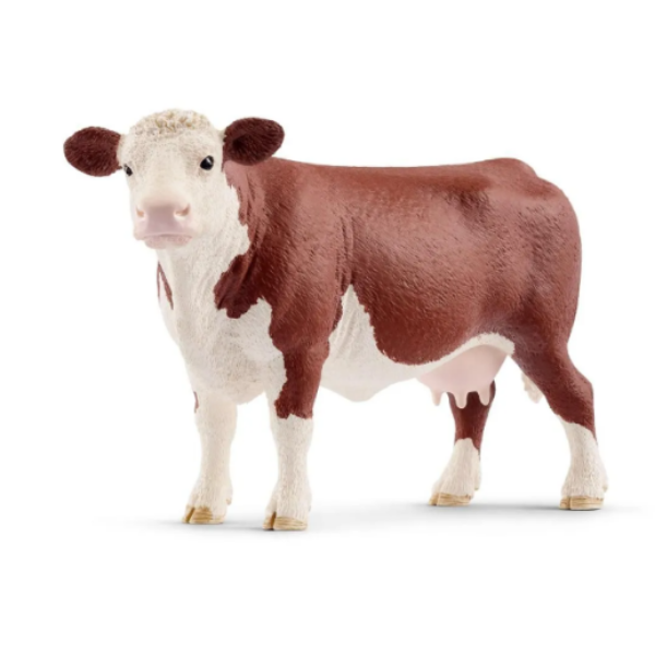 Image de Vache Hereford
