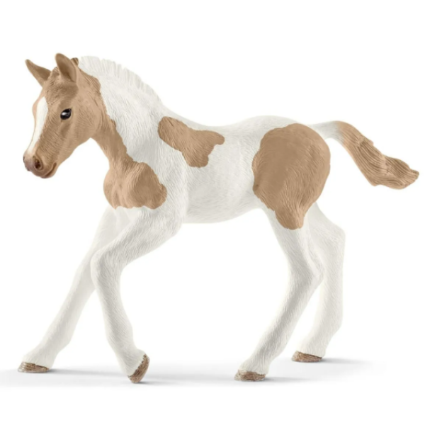 Image de Poulain Paint Horse