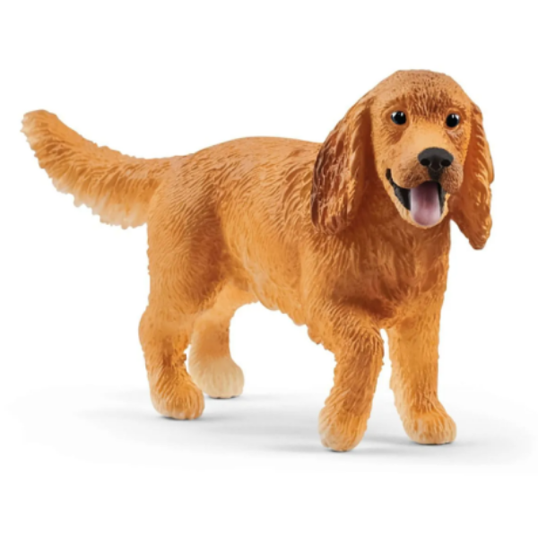 Image de Cocker Spaniel Anglais
