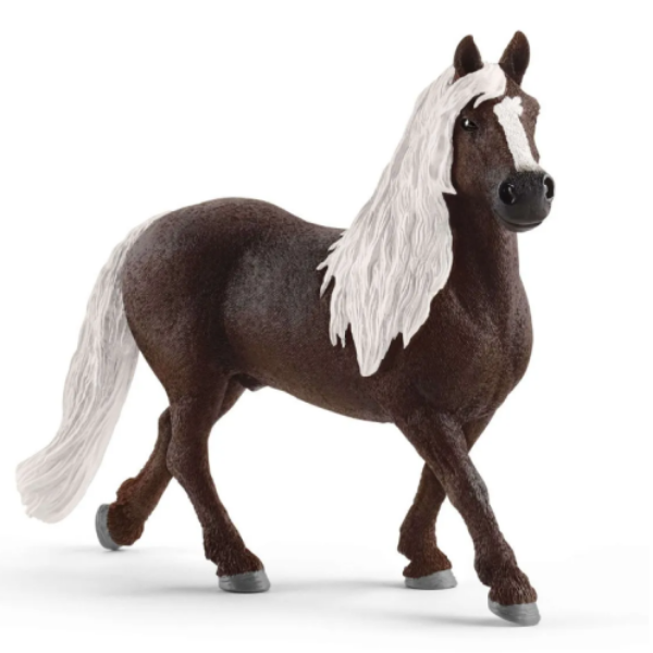 Image de Étalon Forêt Noire