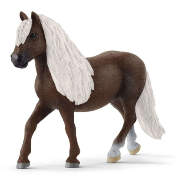 Image de Jument Forêt Noire