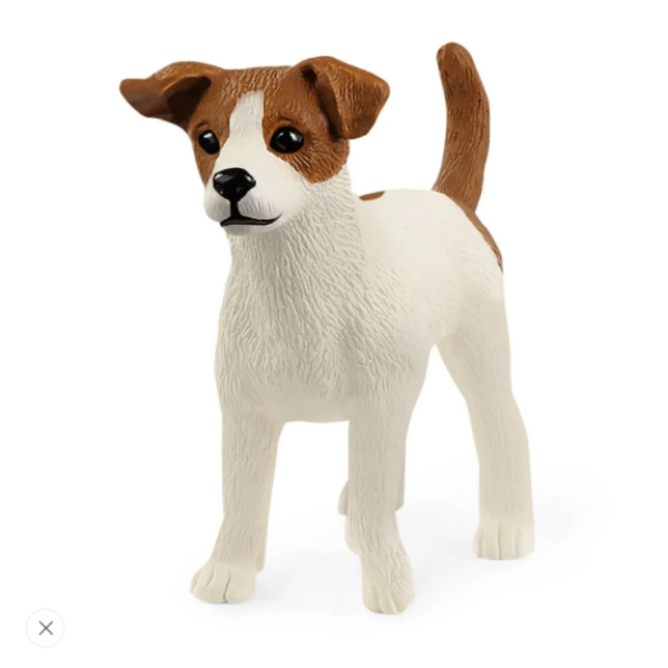 Image de Jack Russell Terrier
