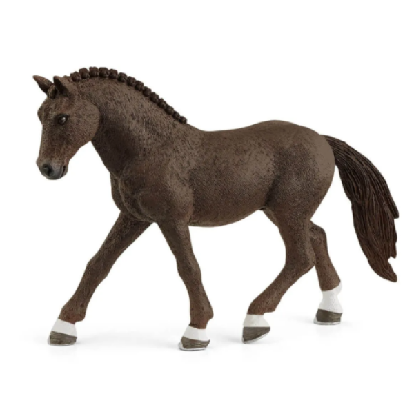 Image de Poney De Selle Allemand Hongre