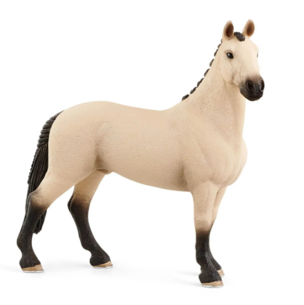 Image de Hongre Hanovrien Aubère