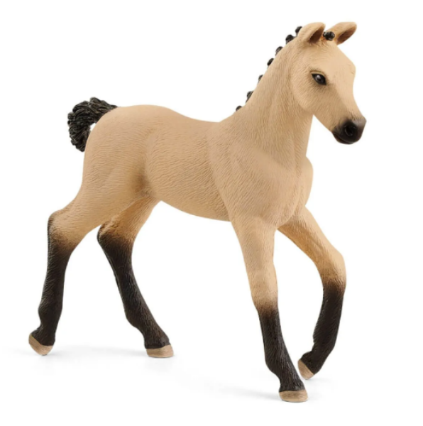 Image de Poulain Hanovrien Aubère