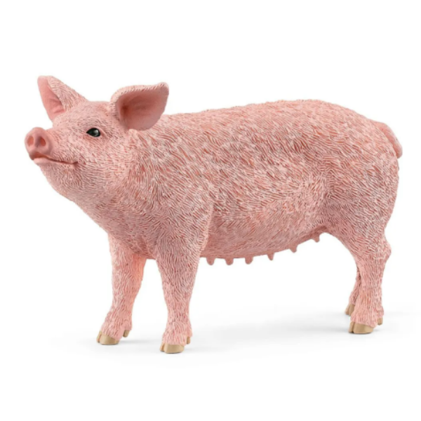 Image de Cochon