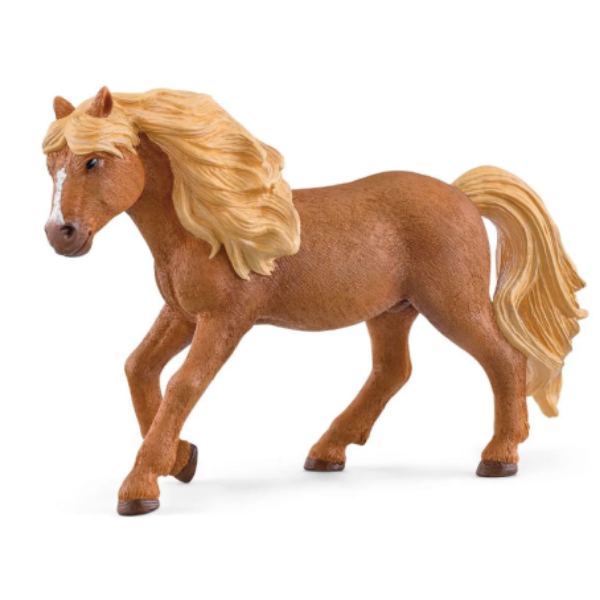 Image de Étalon Islandais