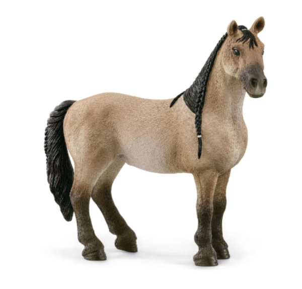 Image de Jument Criollo Definitivo