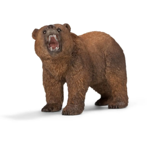 Image de Ours Grizzly