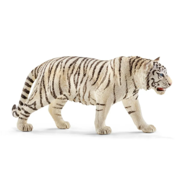 Image de Tigre Blanc