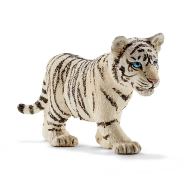 Image de Jeune Tigre Blanc