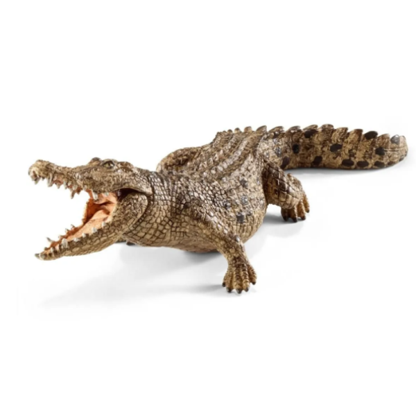 Image de Crocodile