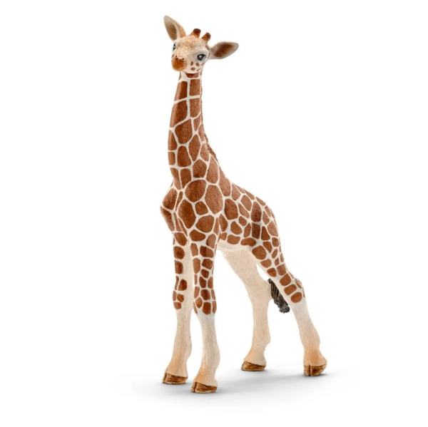 Image de Bébé Girafe