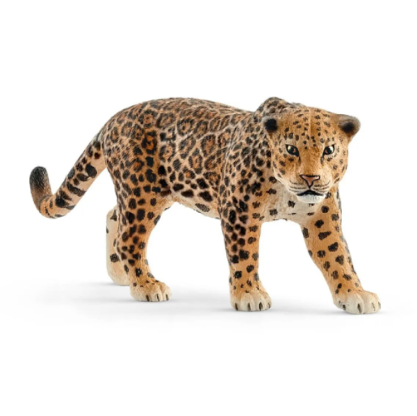 Image de Jaguar