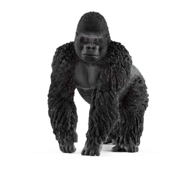 Image de Gorille, Mâle