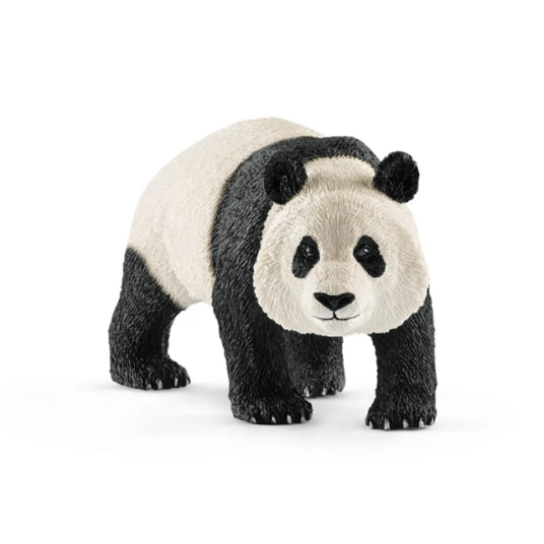 Image de Panda Géant, Mâle
