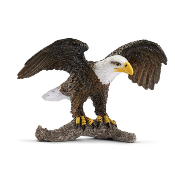 Image de Pygargue À Tête Blanche