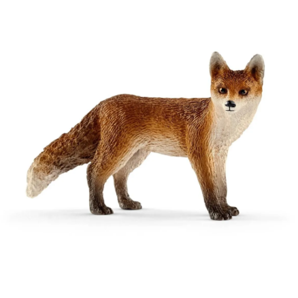 Image de Renard