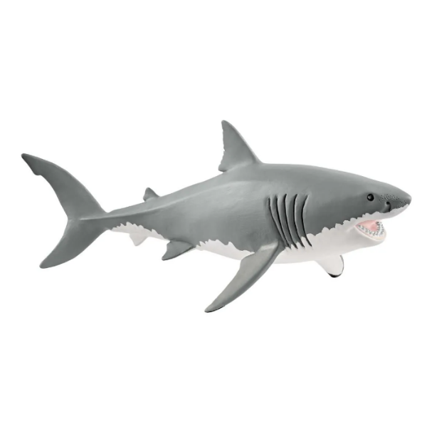Image de Requin Blanc