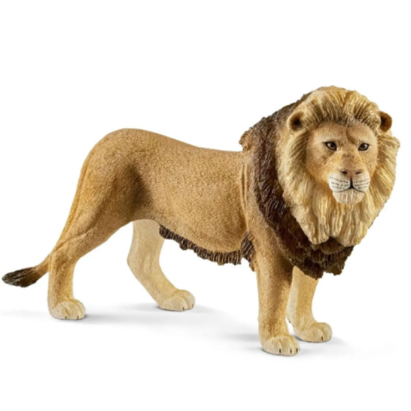 Image de Lion