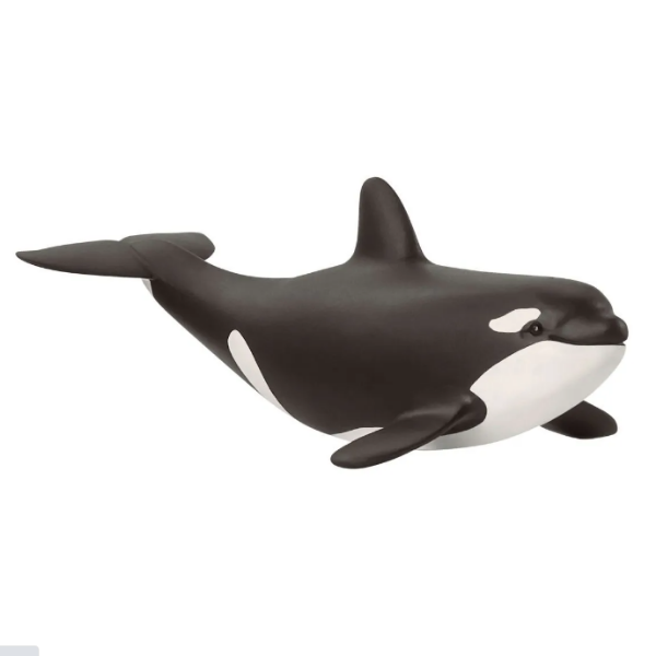 Image de Jeune Orque