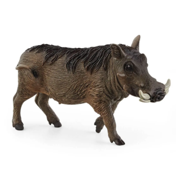 Image de Phacochère