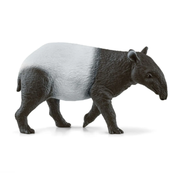 Image de Tapir