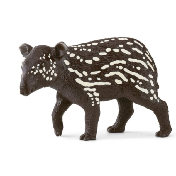 Image de Jeune Tapir