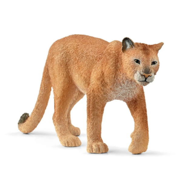 Image de Puma