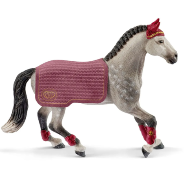 Image de Jument Trakehnen Concours Equestre