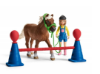 Image de Entrainement D'Agility Pour Poney