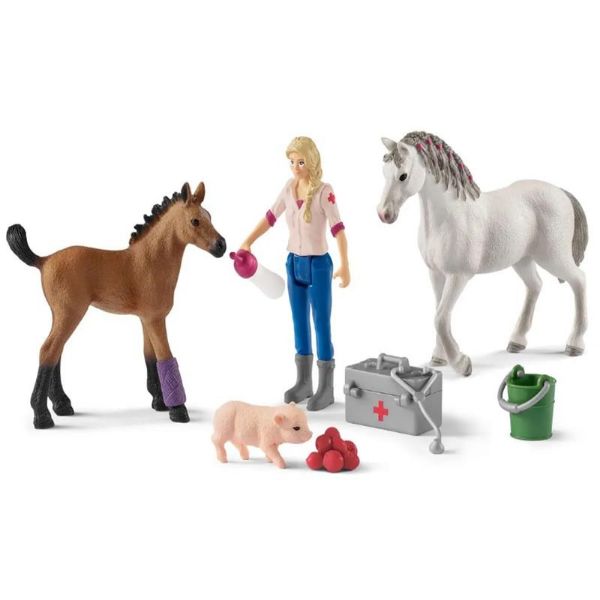 Image de Visite Du Veterinaire Pour La Jument Et Le Poulain