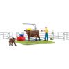 Image de Station De Lavage Pour Vaches