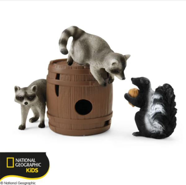 Image de Jeux Rigolos Avec La Noix